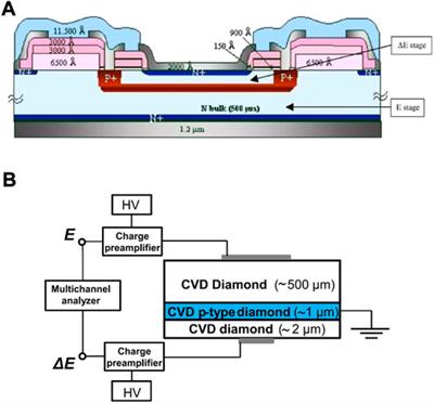 Microdosimetry for hadron therapy: A state of the art of detection technology